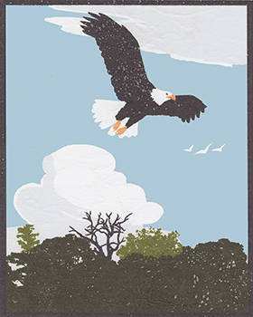 Eagle over Ft. Desoto Park